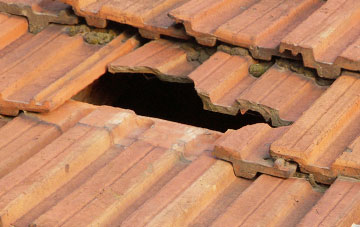 roof repair Strumpshaw, Norfolk